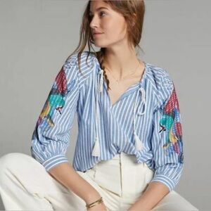 Striped Blue Blouse with Embroidered Sleeves